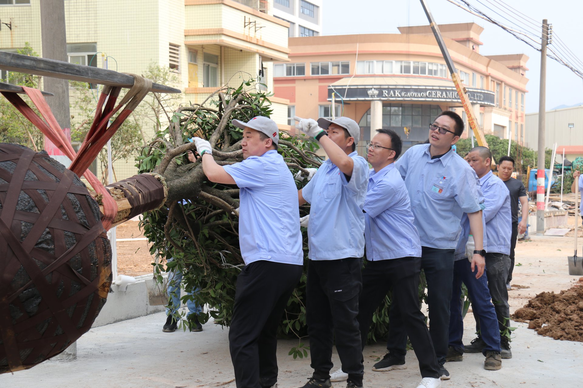 植樹節(jié)活動(dòng)