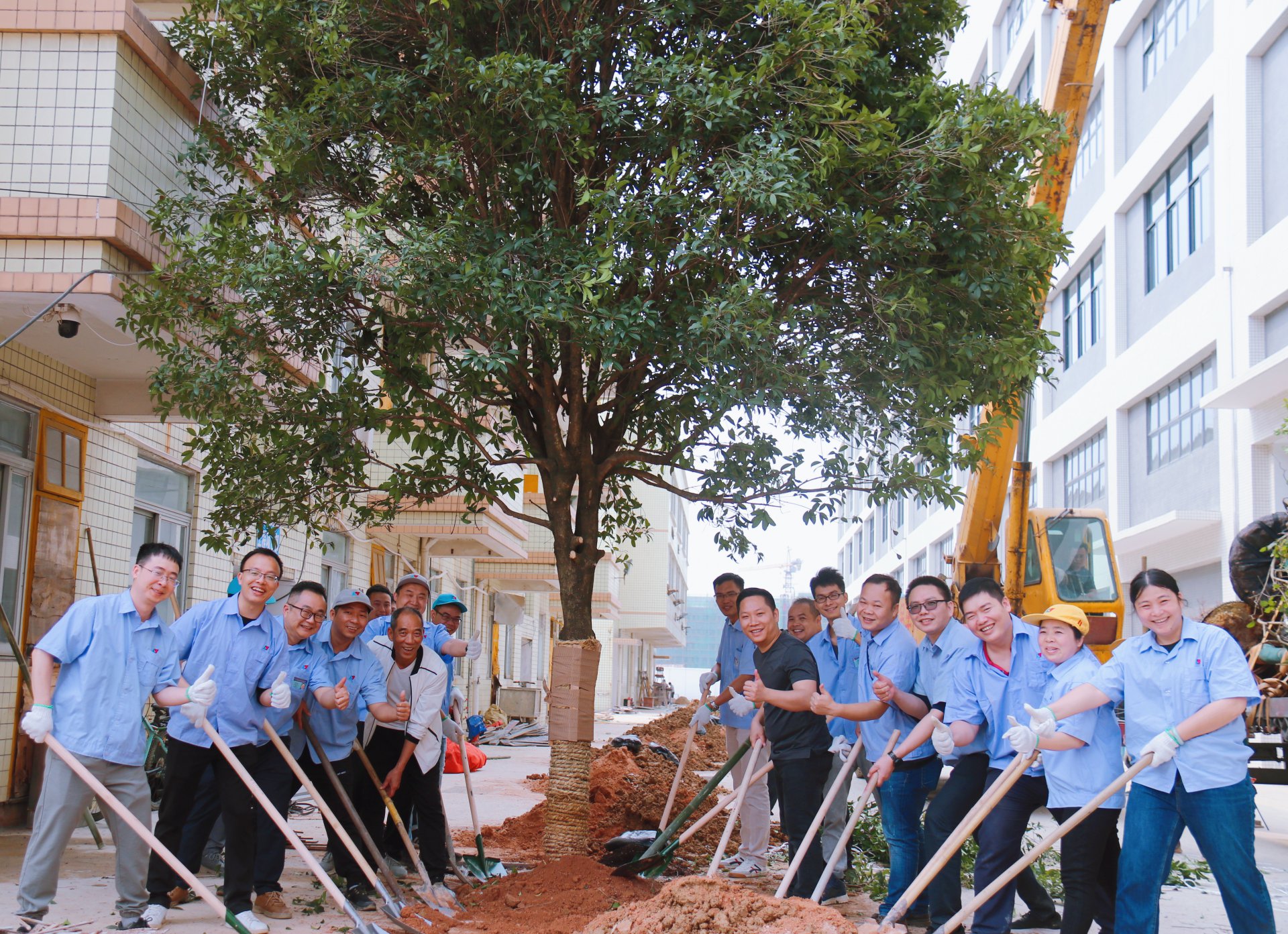 植樹節(jié)活動(dòng)